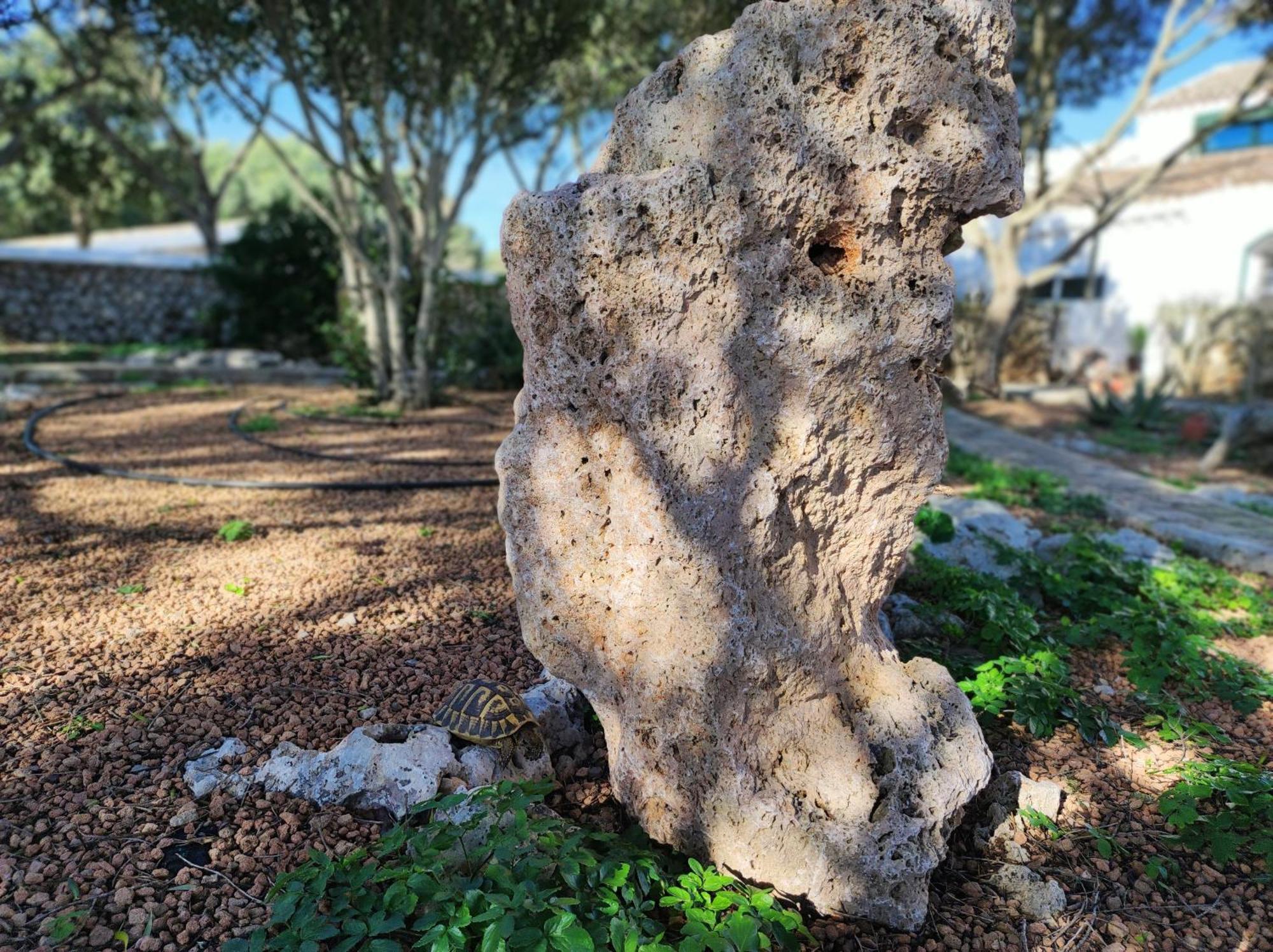 סנט לואיס Turismo Rural Biniati Des Pi מראה חיצוני תמונה