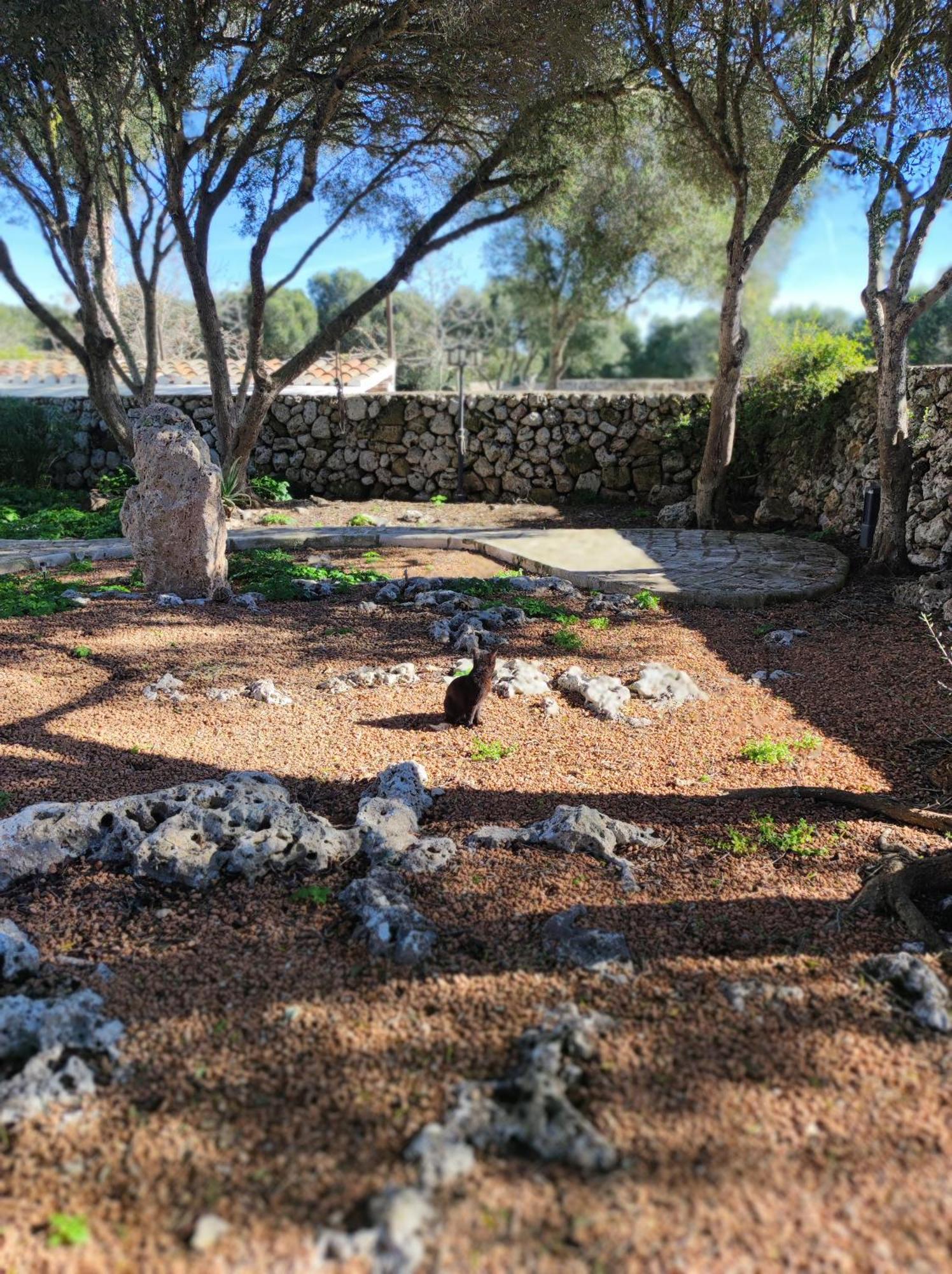 סנט לואיס Turismo Rural Biniati Des Pi מראה חיצוני תמונה