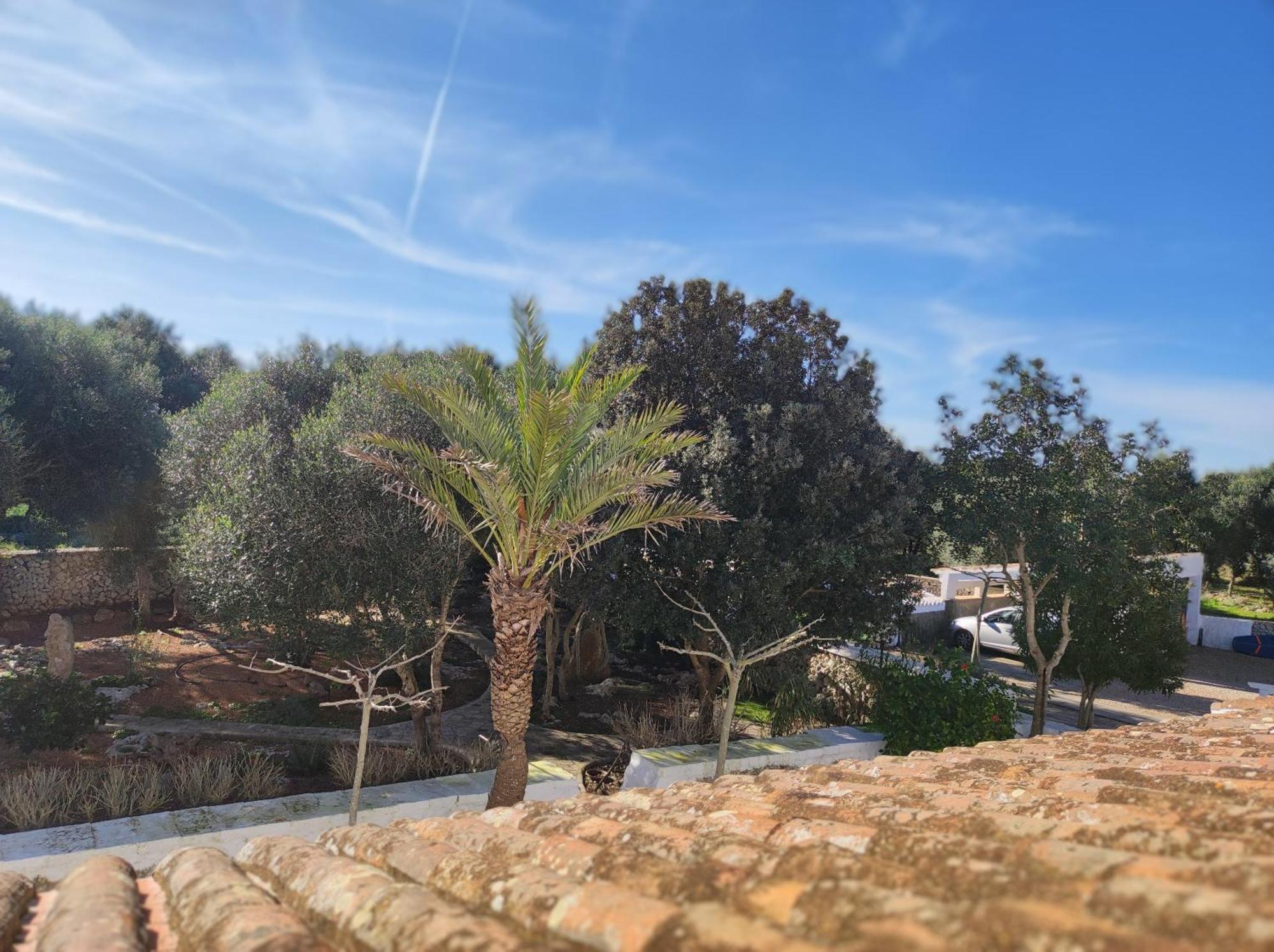סנט לואיס Turismo Rural Biniati Des Pi מראה חיצוני תמונה