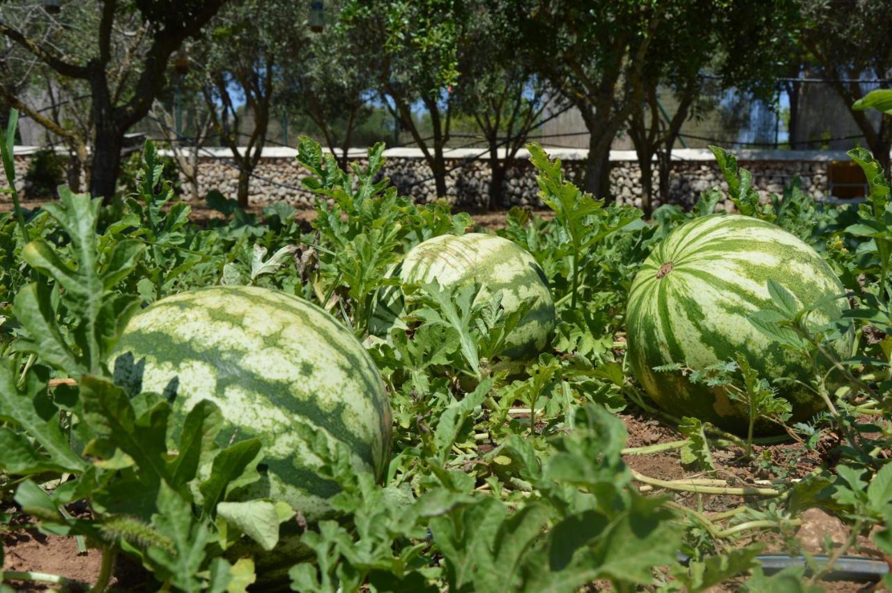 סנט לואיס Turismo Rural Biniati Des Pi מראה חיצוני תמונה