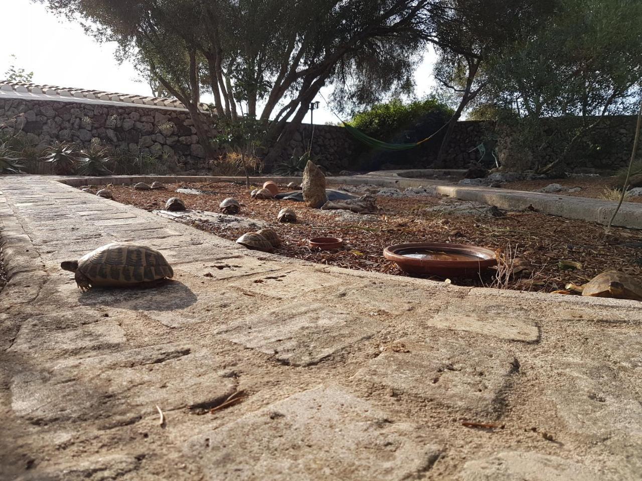 סנט לואיס Turismo Rural Biniati Des Pi מראה חיצוני תמונה